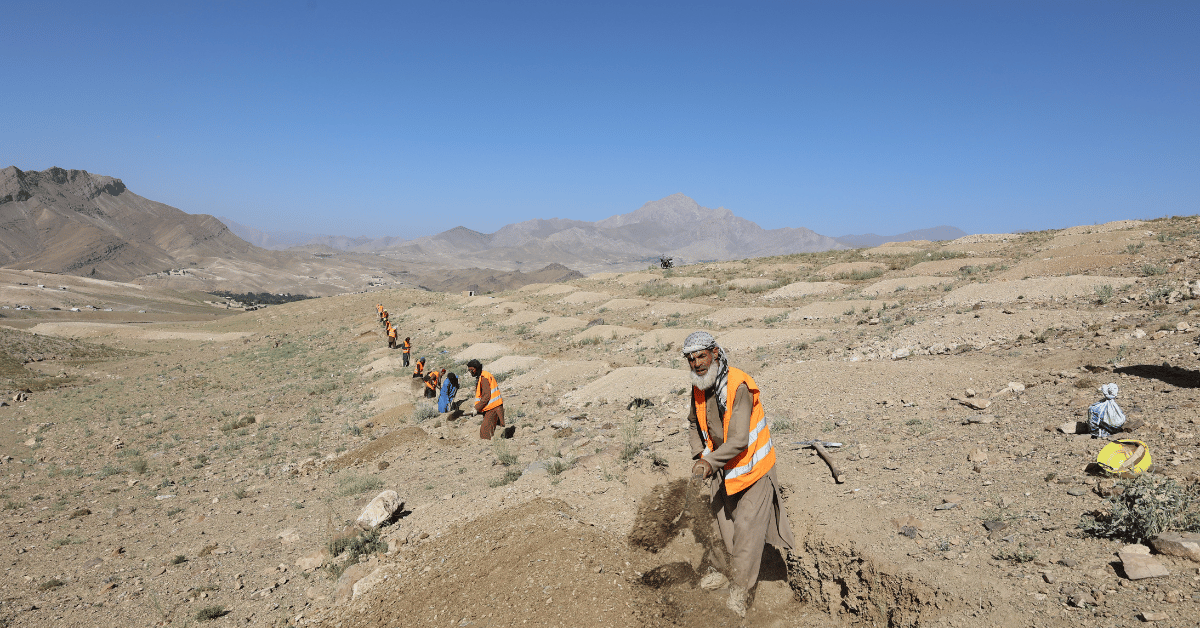 Workers digging trenches in dry landscape